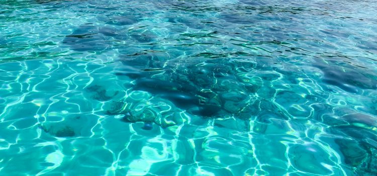 Gili T.